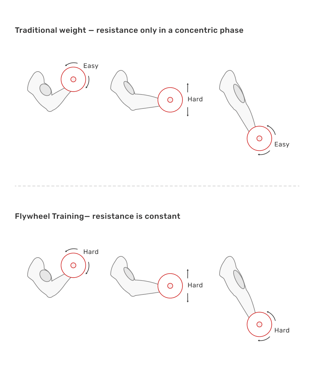 Flywheel Training vs Traditional Weight Training